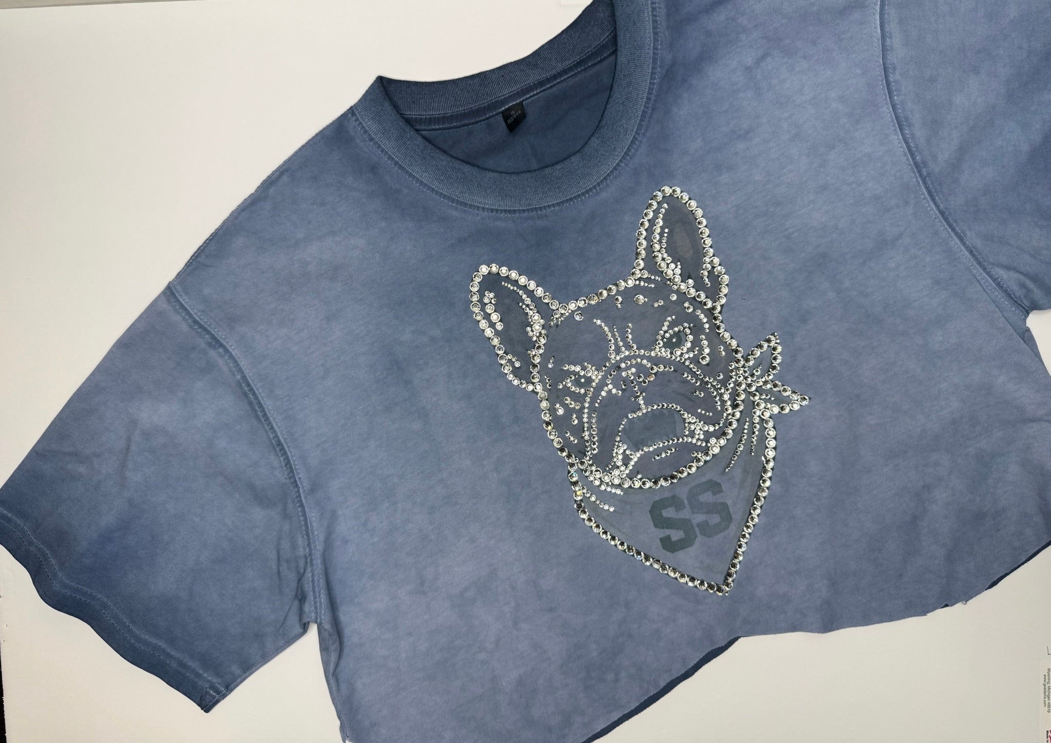 Future Rhinestone Cropped Tee